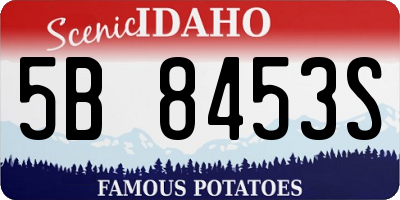 ID license plate 5B8453S