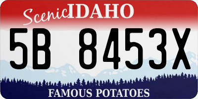 ID license plate 5B8453X
