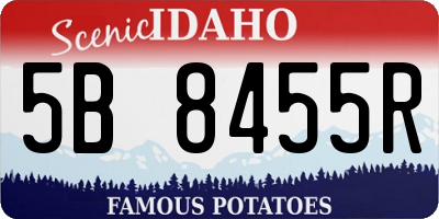 ID license plate 5B8455R