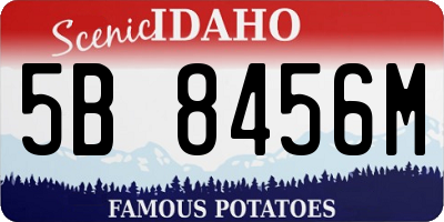 ID license plate 5B8456M