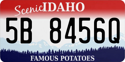 ID license plate 5B8456Q
