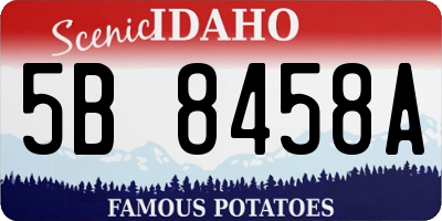 ID license plate 5B8458A