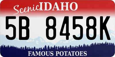 ID license plate 5B8458K