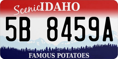 ID license plate 5B8459A