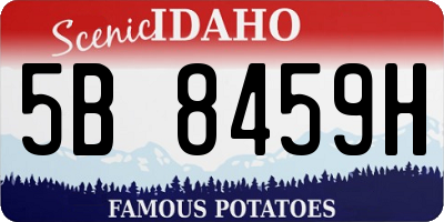 ID license plate 5B8459H