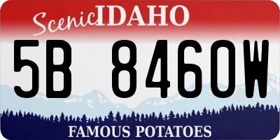 ID license plate 5B8460W
