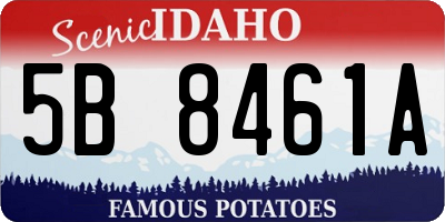 ID license plate 5B8461A