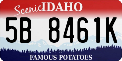 ID license plate 5B8461K