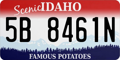 ID license plate 5B8461N