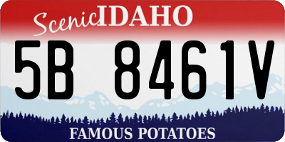 ID license plate 5B8461V