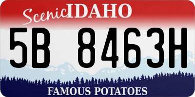 ID license plate 5B8463H
