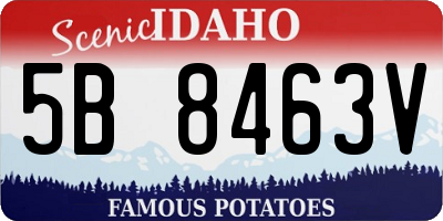 ID license plate 5B8463V