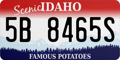ID license plate 5B8465S