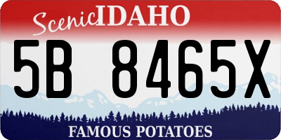 ID license plate 5B8465X