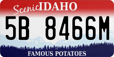 ID license plate 5B8466M
