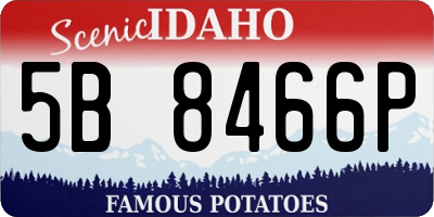 ID license plate 5B8466P