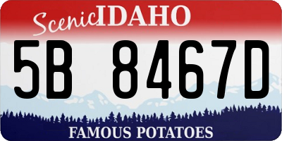ID license plate 5B8467D