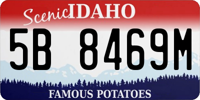 ID license plate 5B8469M
