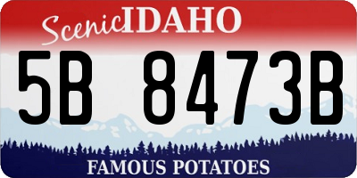 ID license plate 5B8473B