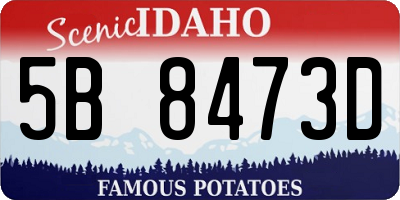 ID license plate 5B8473D