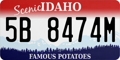 ID license plate 5B8474M