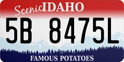 ID license plate 5B8475L