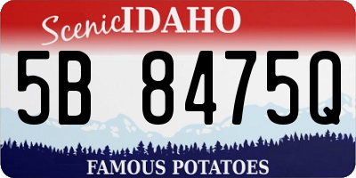 ID license plate 5B8475Q