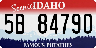 ID license plate 5B8479O