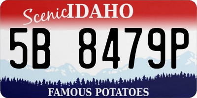 ID license plate 5B8479P