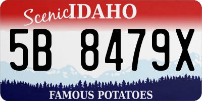 ID license plate 5B8479X