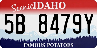 ID license plate 5B8479Y
