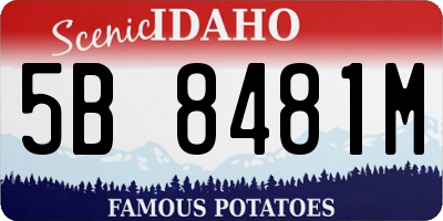 ID license plate 5B8481M