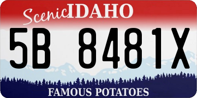 ID license plate 5B8481X