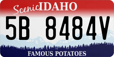ID license plate 5B8484V