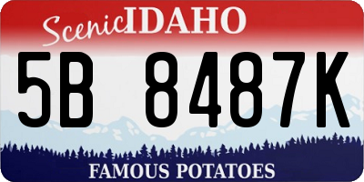 ID license plate 5B8487K