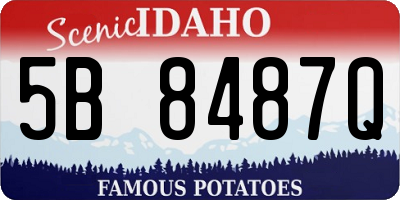 ID license plate 5B8487Q