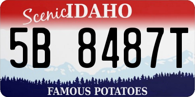 ID license plate 5B8487T