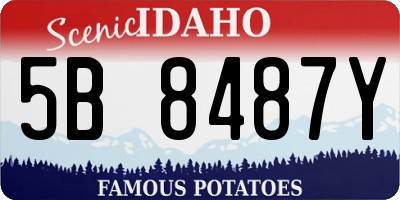 ID license plate 5B8487Y