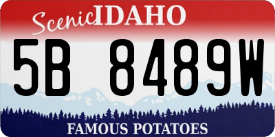 ID license plate 5B8489W