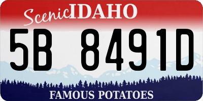 ID license plate 5B8491D