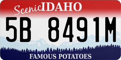 ID license plate 5B8491M