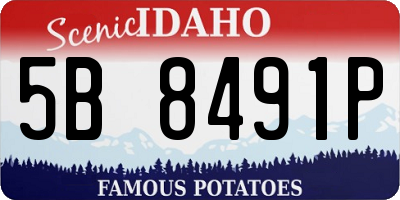 ID license plate 5B8491P