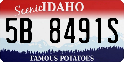 ID license plate 5B8491S