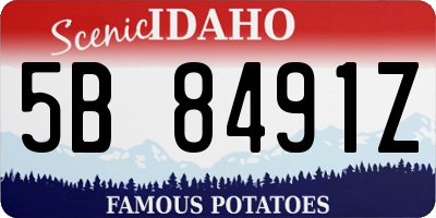 ID license plate 5B8491Z