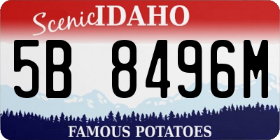 ID license plate 5B8496M