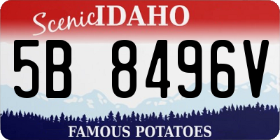 ID license plate 5B8496V