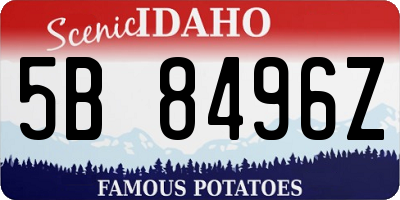 ID license plate 5B8496Z