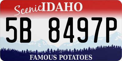 ID license plate 5B8497P