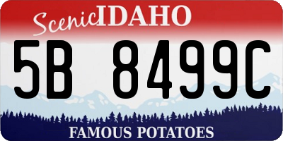 ID license plate 5B8499C