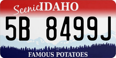 ID license plate 5B8499J